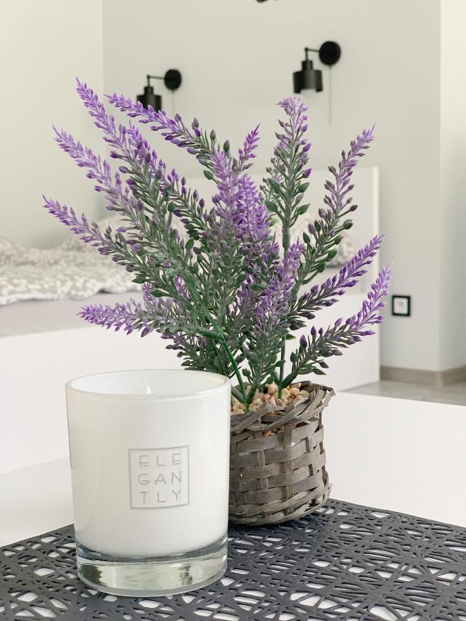 Apartament Chyba Snisz Łańcut Eksteriør billede
